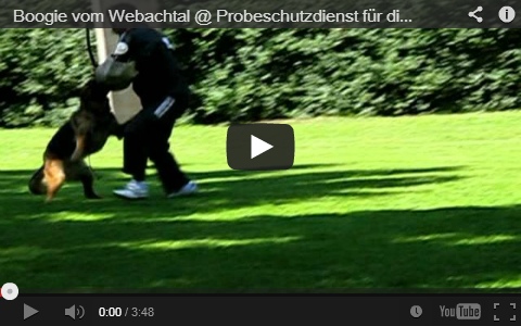 Boogie vom Webachtal Video