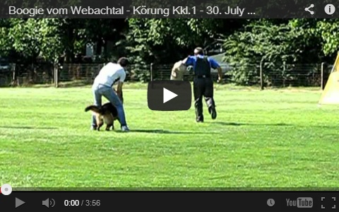 Boogie vom Webachtal Video