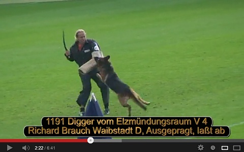 Digger vom Elzmündungsraum Video