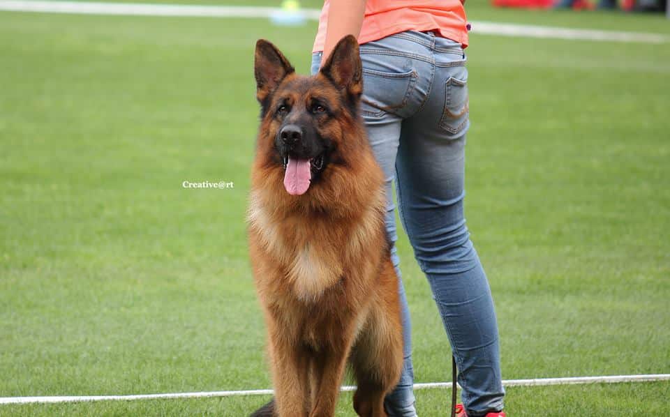 Finn von der Piste Trophe