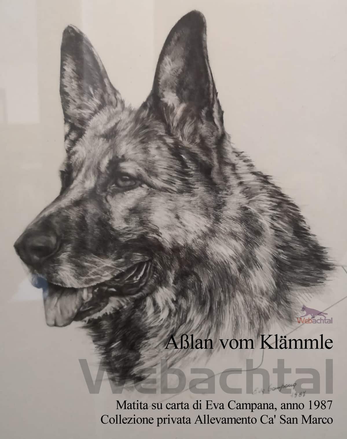 IN MEDIO STAT VIRTUS (Musolino Docet)